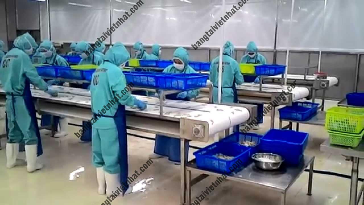 HHGHFGHGFHGFHGFHGFHGHGFHGFHGF