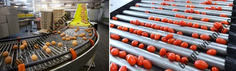 z5319015271752_6590c68c0e174d7a46d714ea4ef6b9a3