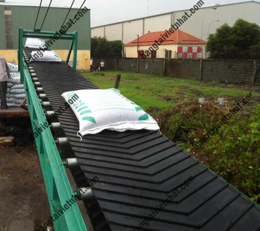 z5488125341419_0995543365e3ae55e761388a08402263