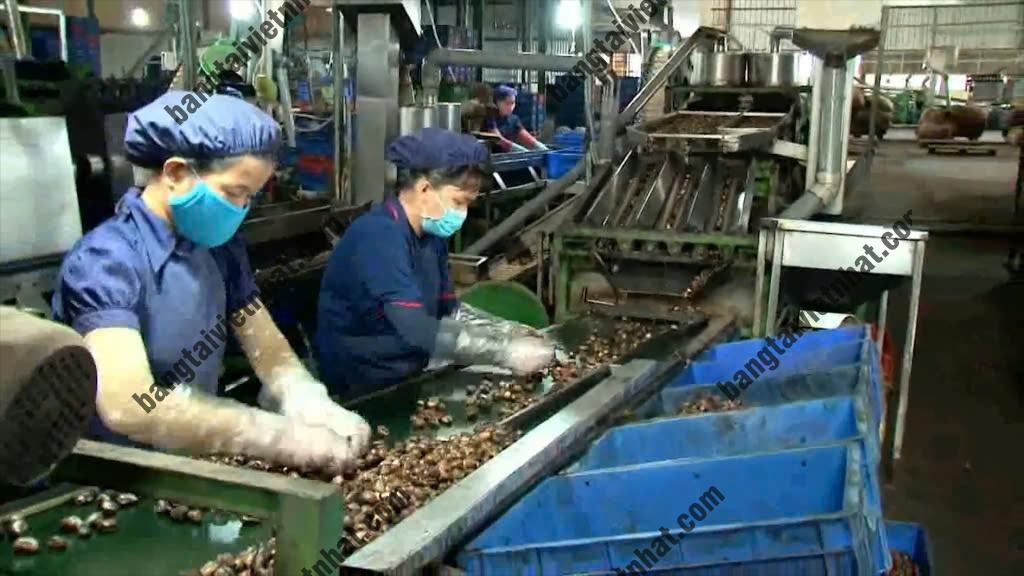 z5774498738104_470df53c79004542370d82c87d00d09f